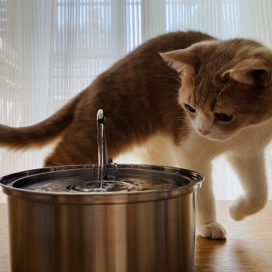 Tot twee weken water per vulling