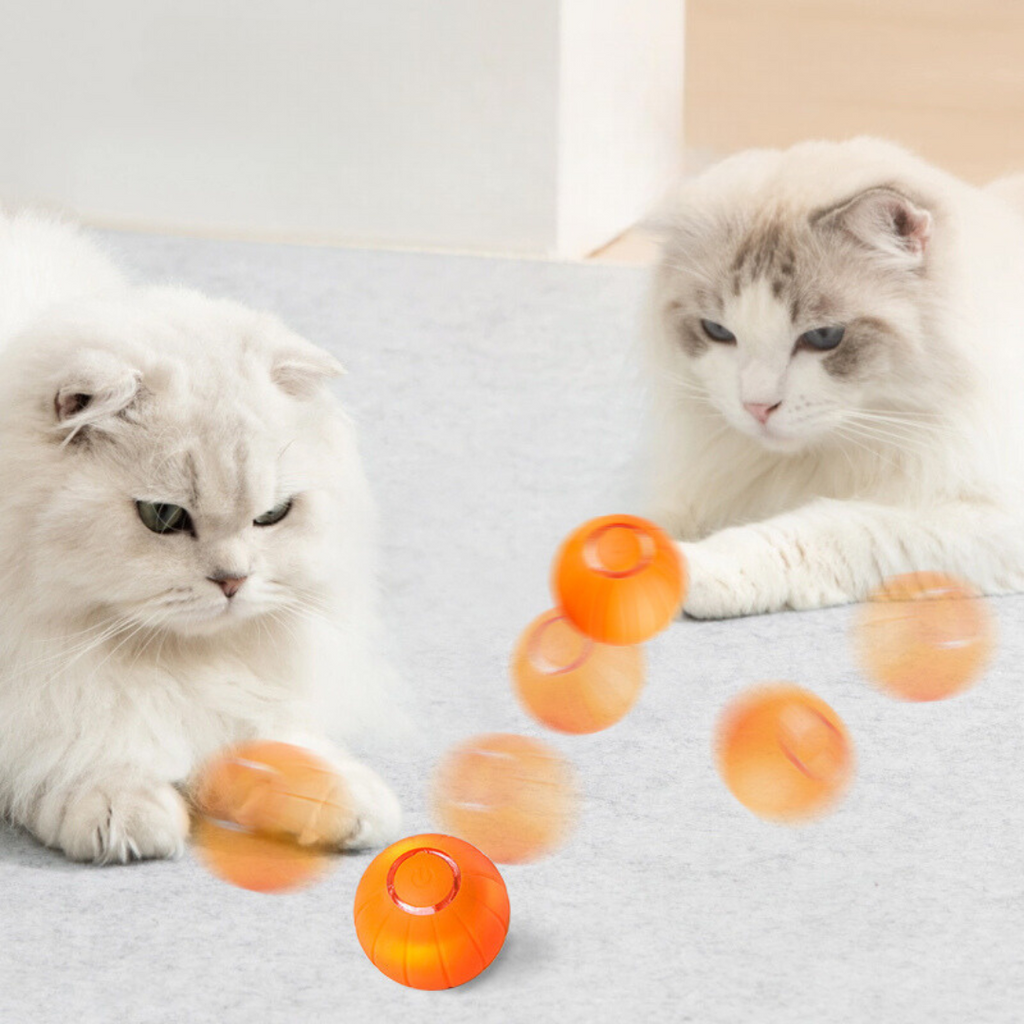 KatBall™ Slimme Kattenbal