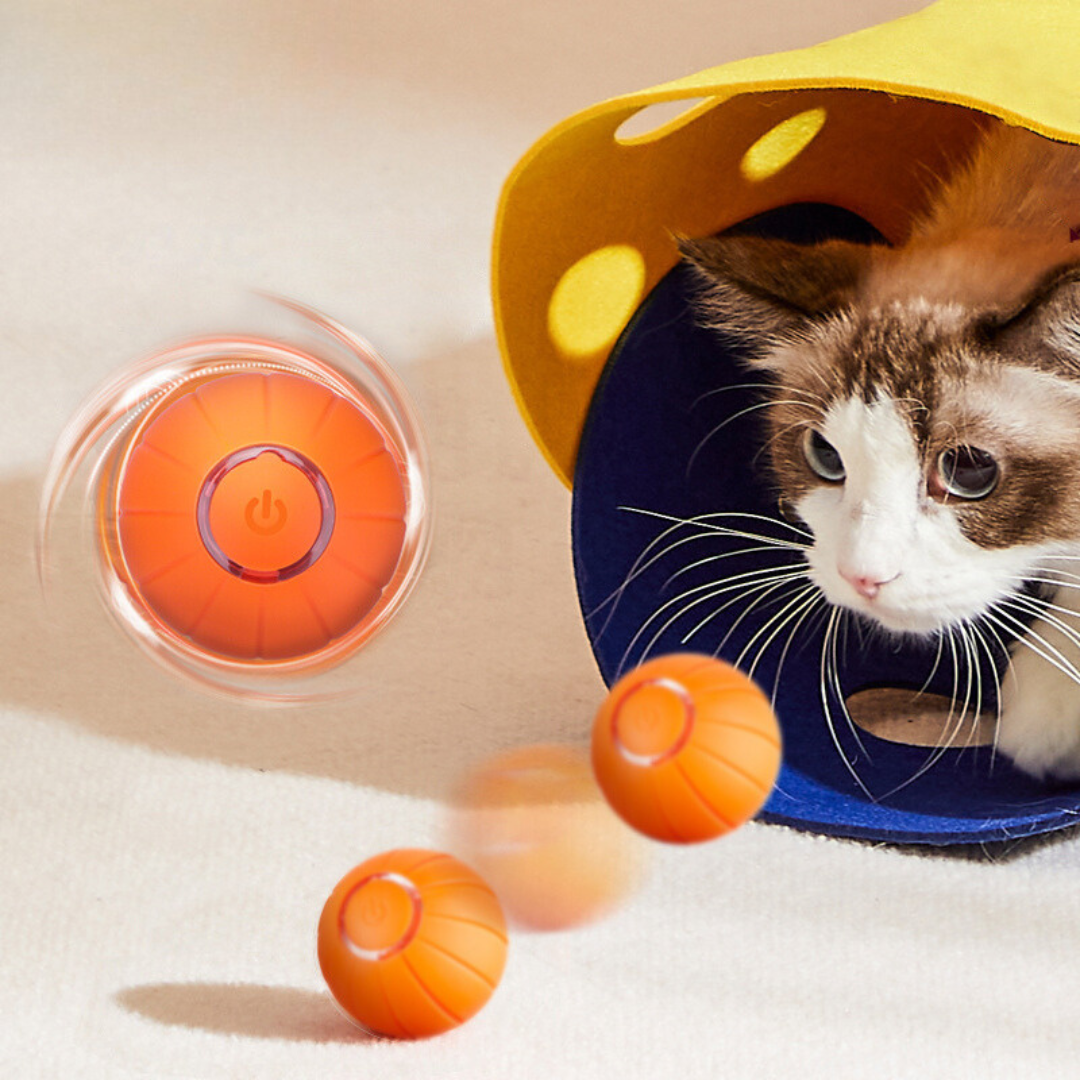 KatBall™ Slimme Kattenbal