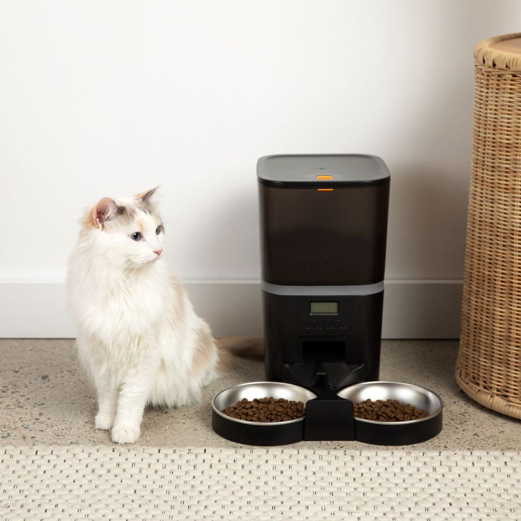 KatFeeder™ Automatische Kattenvoerbak
