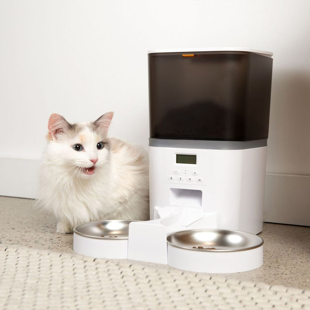 KatFeeder™ Automatische Kattenvoerbak