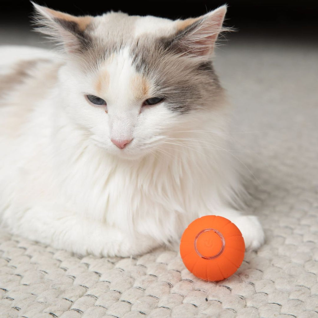 KatBall™ Slimme Kattenbal