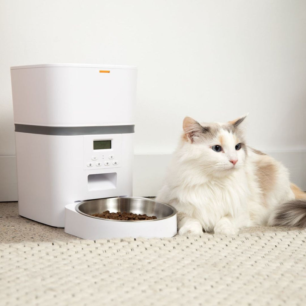 KatFeeder™ Automatische Kattenvoerbak