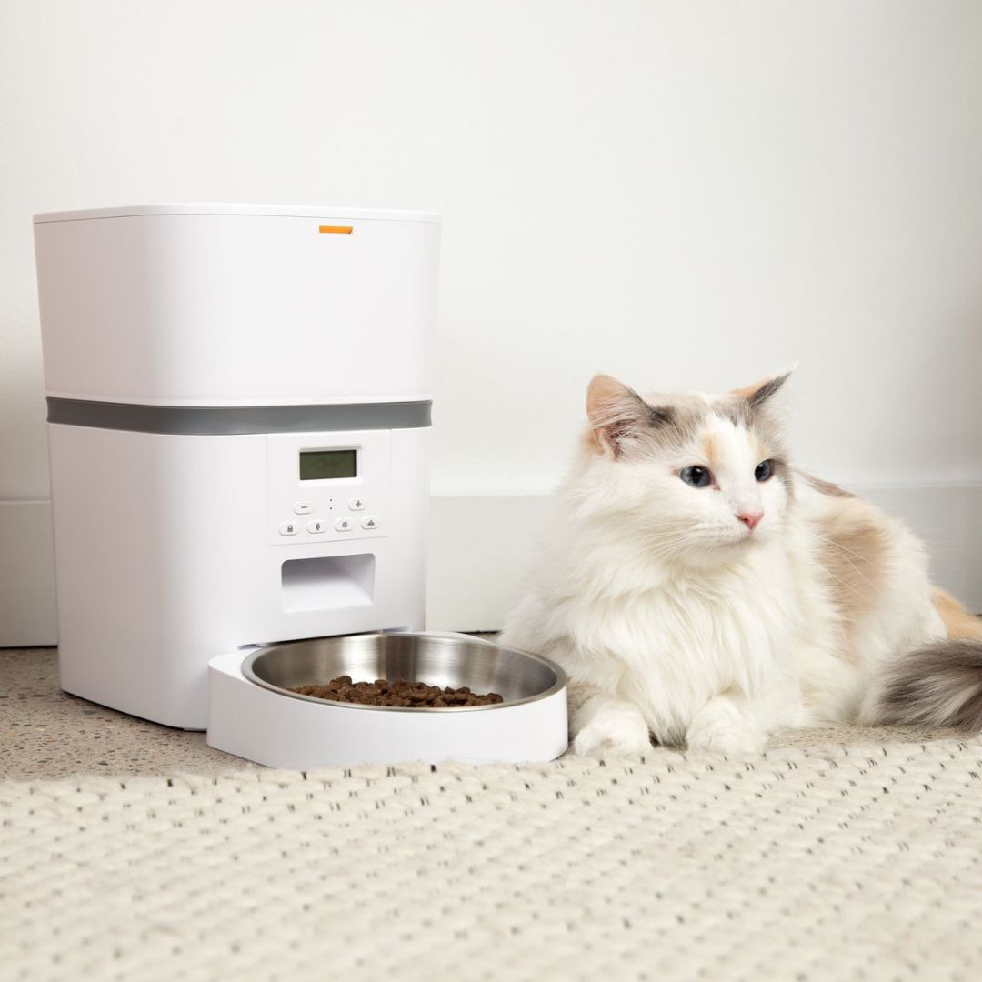 KatFeeder™ Automatische Kattenvoerbak