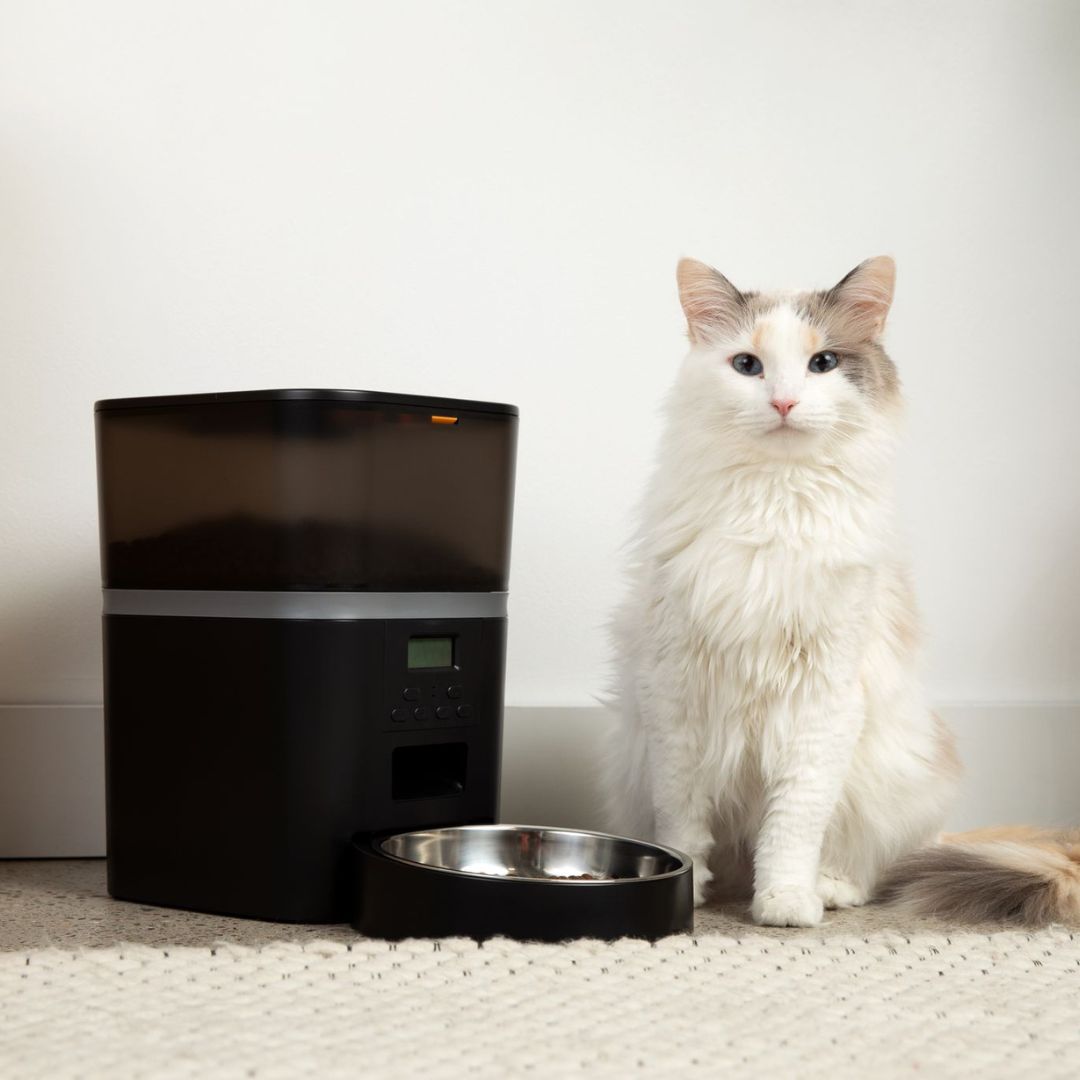KatFeeder™ Automatische Kattenvoerbak