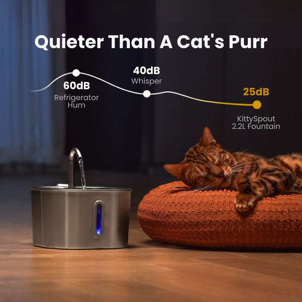 KatSpout™ 2,2L Kattenfontein — 2-Maanden Kit