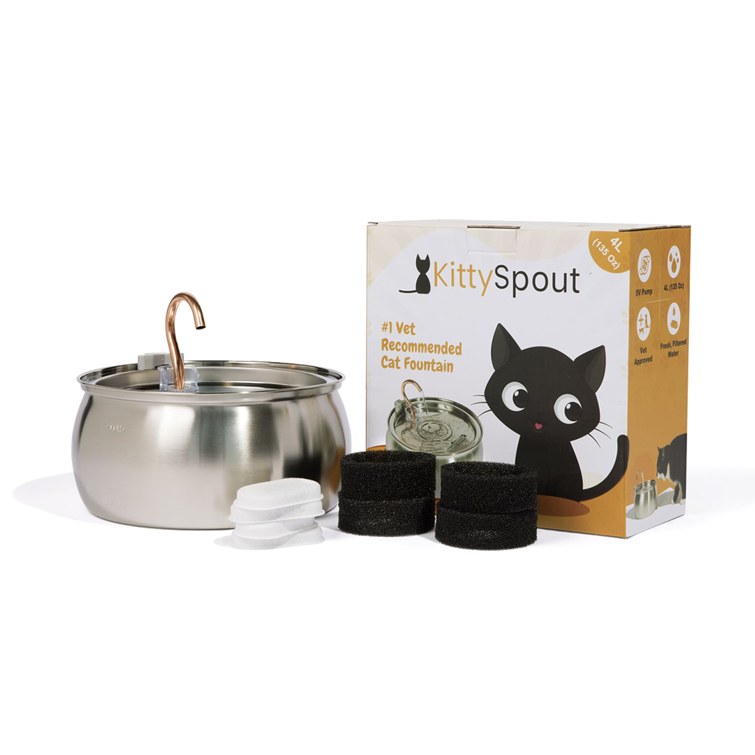 KatSpout™ Gezond & Gelukkig Kattenkit (4L)