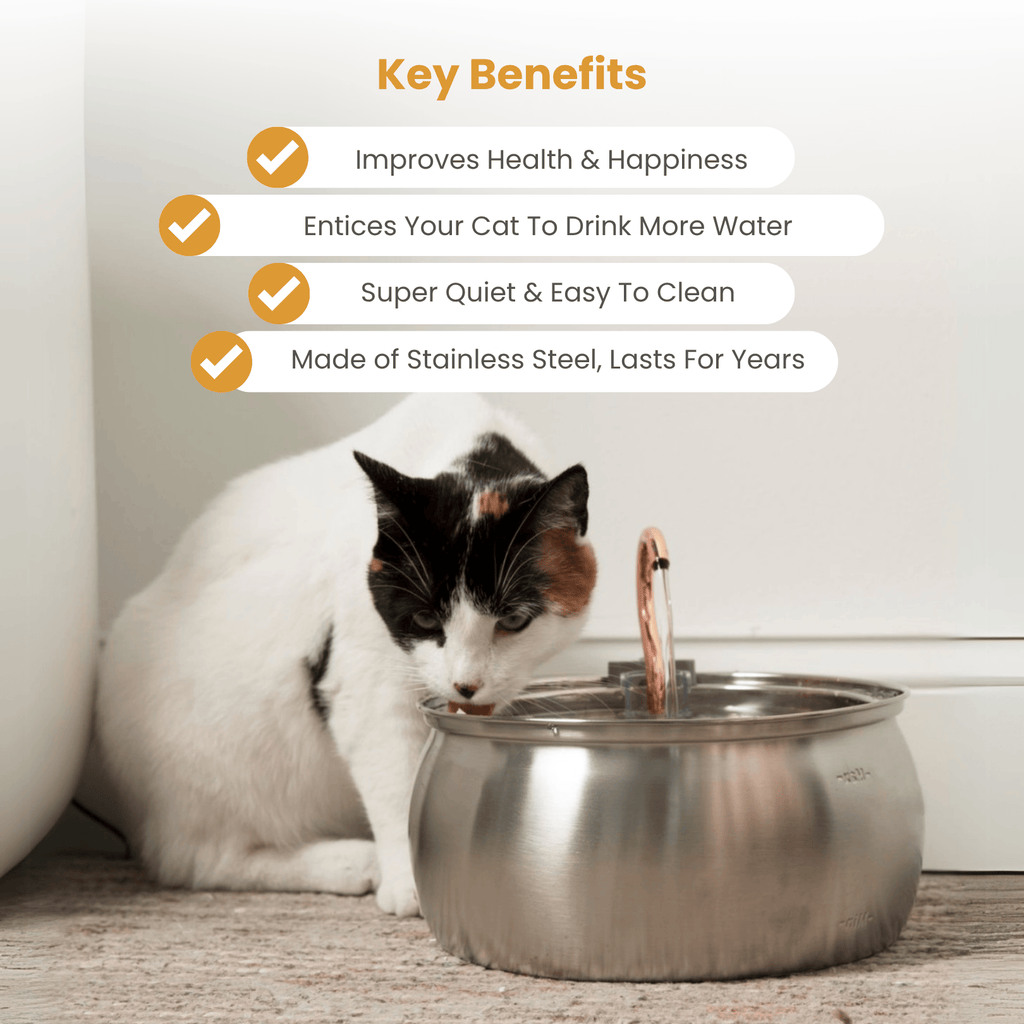 KatSpout™ Gezond & Gelukkig Kattenkit (4L)