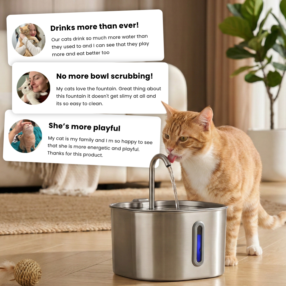 KatSpout™ 2,2L Kattenfontein — 2-Maanden Kit