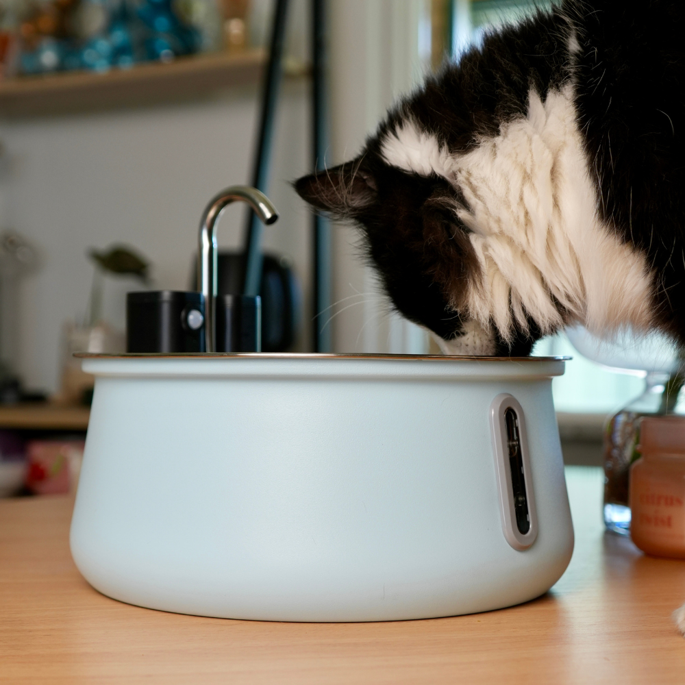 KatSpout™ Draadloze Kattenfontein 2.0