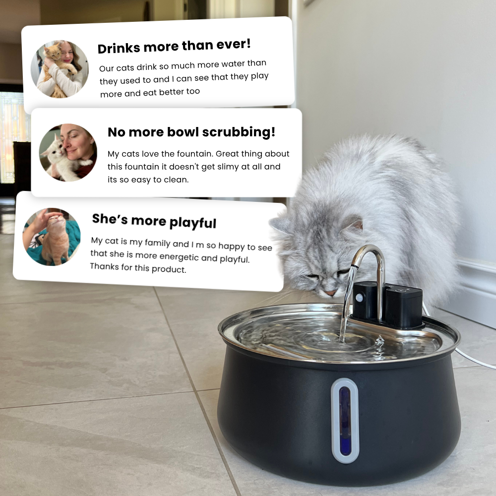KatSpout™ Draadloze Kattenfontein 2.0
