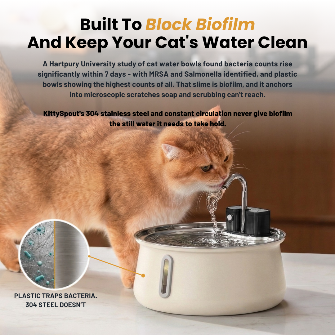KatSpout™ Draadloze Kattenfontein 2.0