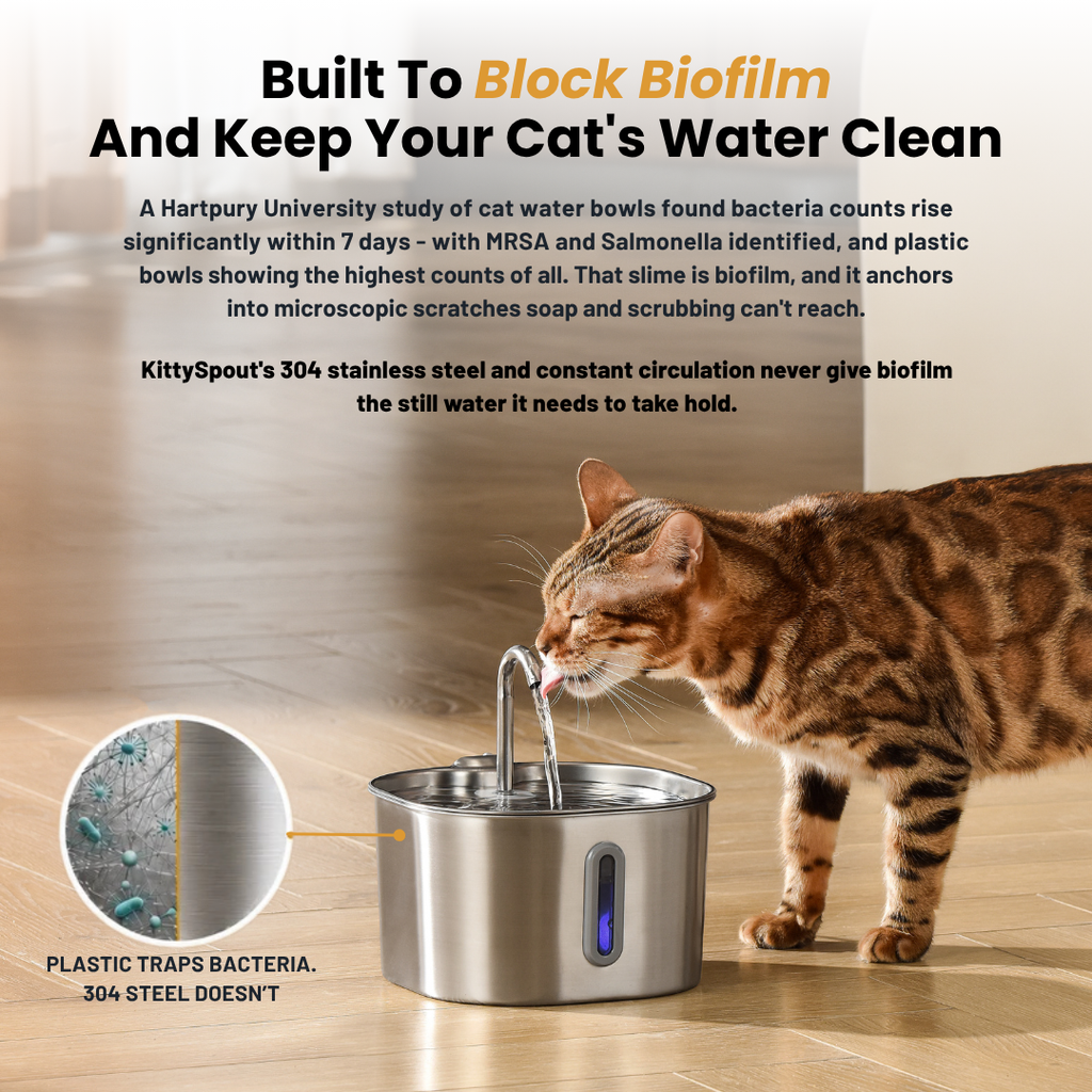 KatSpout™ 2,2L Kattenfontein — 2-Maanden Kit