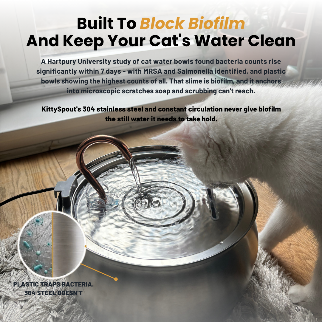 KatSpout™ Gezond & Gelukkig Kattenkit (4L)