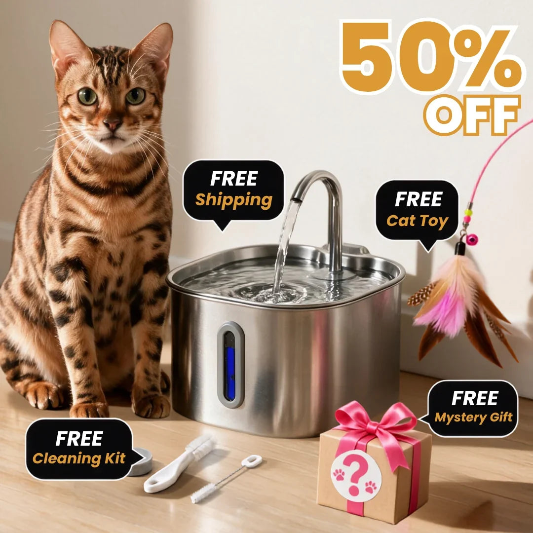 KatSpout™ 2,2L Kattenfontein — 2-Maanden Kit