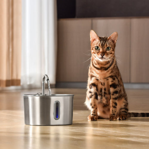 Kat naast de compacte KatSpout 2,2L