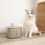 Kat naast de KatSpout Draadloze Kattenfontein Origineel